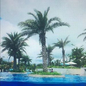 Meet your Posher, Miam’s